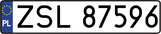 ZSL87596