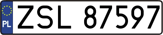 ZSL87597