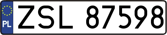 ZSL87598