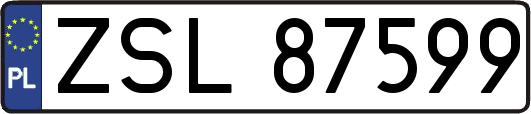 ZSL87599
