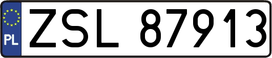ZSL87913