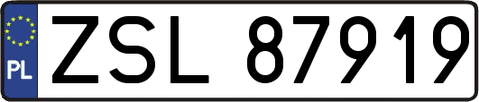 ZSL87919