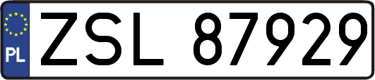 ZSL87929