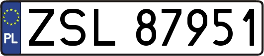 ZSL87951