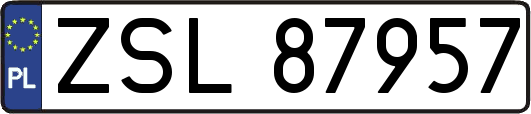 ZSL87957
