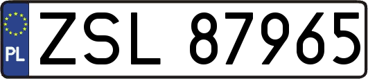 ZSL87965