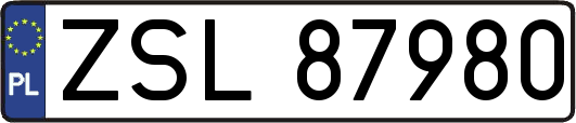 ZSL87980