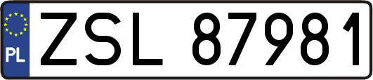ZSL87981