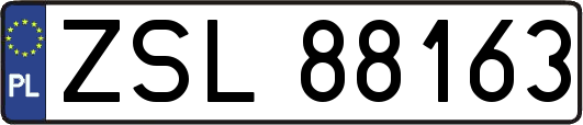 ZSL88163
