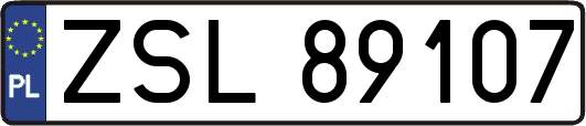 ZSL89107