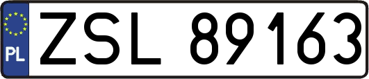 ZSL89163