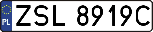 ZSL8919C