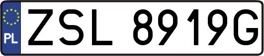 ZSL8919G