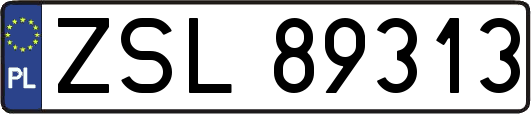ZSL89313