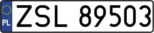 ZSL89503