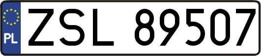 ZSL89507
