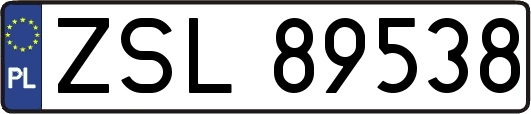 ZSL89538