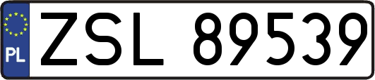 ZSL89539