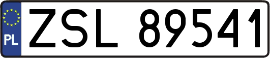 ZSL89541