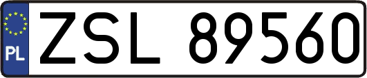 ZSL89560