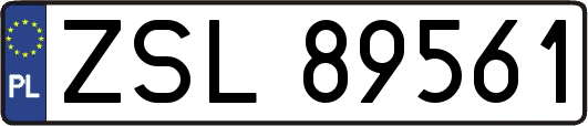 ZSL89561