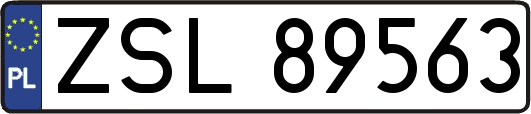 ZSL89563
