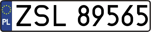 ZSL89565