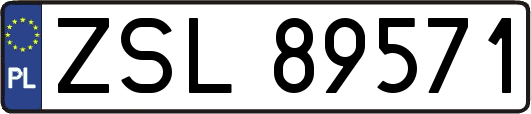 ZSL89571