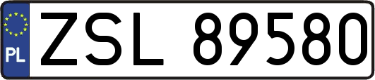 ZSL89580
