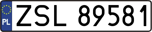 ZSL89581