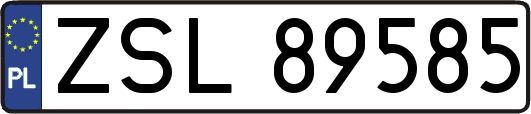 ZSL89585