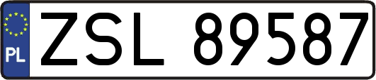 ZSL89587