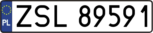 ZSL89591