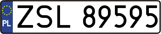 ZSL89595