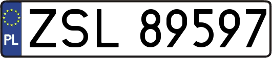 ZSL89597