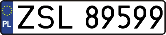 ZSL89599