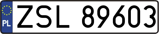 ZSL89603