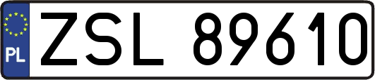 ZSL89610