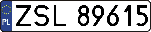 ZSL89615