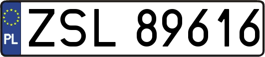 ZSL89616