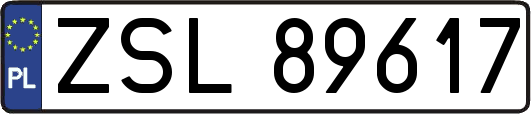 ZSL89617