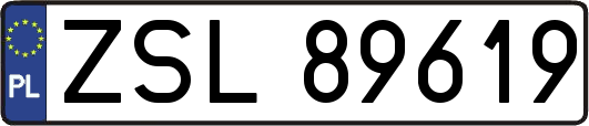 ZSL89619