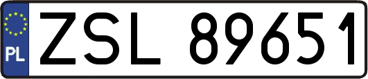 ZSL89651
