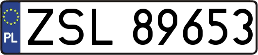 ZSL89653