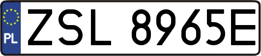 ZSL8965E