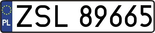 ZSL89665
