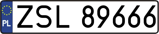 ZSL89666