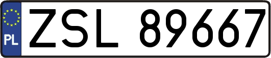 ZSL89667