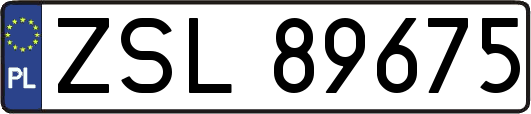 ZSL89675