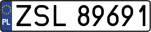 ZSL89691